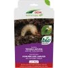 DCM Aaltjes Tegen Larven Van De Taxuskever (Kraussi-Guard®) - Bestelcode - 10 M² (5 Mio. Aaltjes) -NatuurlijkeTuinMeester dcm aaltjes tegen larven van de taxuskever kraussi guard bes 1000x1000 64830032bdf28 l
