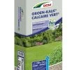 DCM Groen-kalk (K) (20 Kg) 2 DCM Groen-kalk (K) (20 Kg) -NatuurlijkeTuinMeester dcm groen kalk 1586240776 l