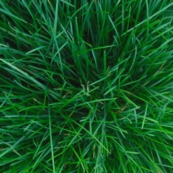 Talen Tools Strooiwagen Luxe - 25 Liter