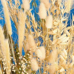 MRS Seeds & Mixtures Siergrassenmengsel