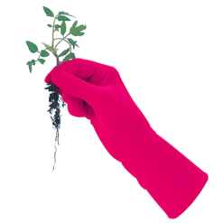 De Wiltfang Foxgloves Original -NatuurlijkeTuinMeester image 372