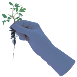 De Wiltfang Foxgloves Original -NatuurlijkeTuinMeester image 373