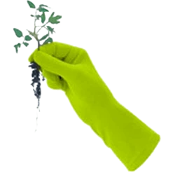 De Wiltfang Foxgloves Original -NatuurlijkeTuinMeester image 375