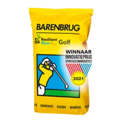 MRS Seeds & Mixtures Stalkaars - Verbascum Densiflorum