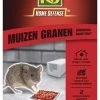 KB Muizen Lokdoos Granen 'Generation Grain'Tech' 2 Stuks -NatuurlijkeTuinMeester kb muizen lokdoos granen generation grain tech 2 stuks 333x500 61d6fc70bfc6f l