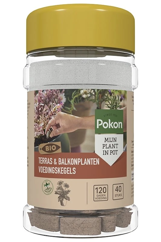 Pokon Bio Terras & Balkon Planten Voedingskegels 40 Stuks 3 Pokon Bio Terras & Balkon Planten Voedingskegels 40 Stuks