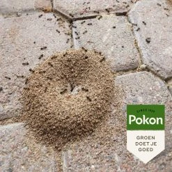 Pokon Tegen Mieren Korrels 400gr 11 Pokon Tegen Mieren Korrels 400gr -NatuurlijkeTuinMeester pokon tegen mieren korrels 400gr 1000x1000 6221fb52c5ede l